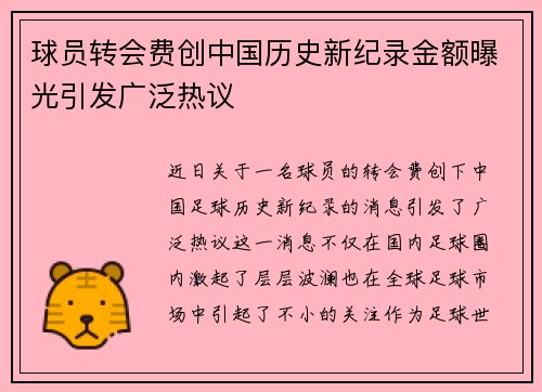 球员转会费创中国历史新纪录金额曝光引发广泛热议